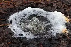 Pohled na mofetu Bublák západně od Vackovce