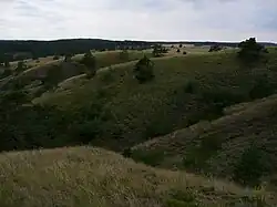 Mohelno, hadcová step