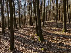 Mohylník Hůrka (u Líšťan na Plzeňsku) (20).jpg