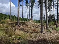 Mohylník Tolom u Hluboké nad Vltavou (20).jpg