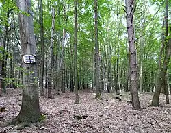 Mohylník U Mělníka (02).jpg