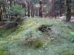 Mohyly na východním svahu kopce Vávra