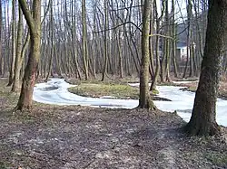 Mokřad se zamrzlou Liběchovkou poblíž Želíz