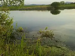 Ivančinské močiare