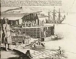 Obrázek z Mollovy "Tresčí mapy" z knihy The World Described