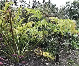 alternativní popis obrázku chybí