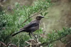 alternativní popis obrázku chybí