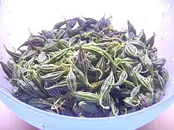 Plody Momordica cymbalaria