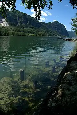 Nálezy kůlů na březích Mondsee