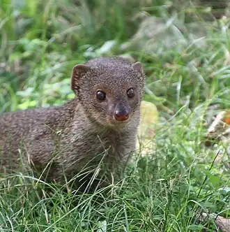 alternativní popis obrázku chybí