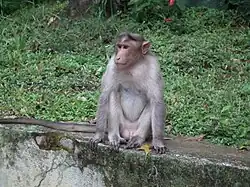 alternativní popis obrázku chybí