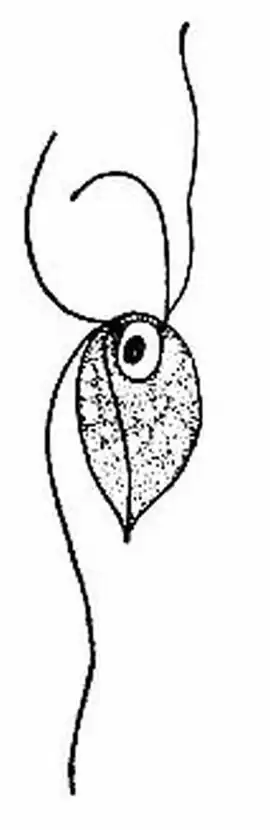 popis obrázku chybí