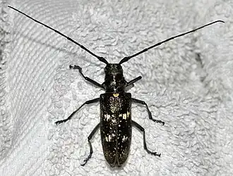 alternativní popis obrázku chybí