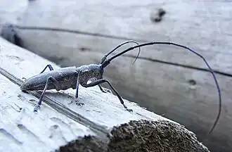 alternativní popis obrázku chybí