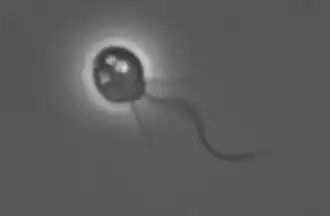 alternativní popis obrázku chybí