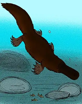 popis obrázku chybí