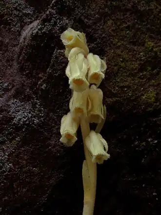 alternativní popis obrázku chybí