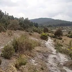 Mont Heha v pohoří Mitumba