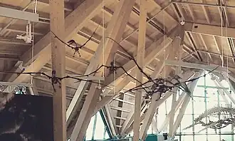 popis obrázku chybí