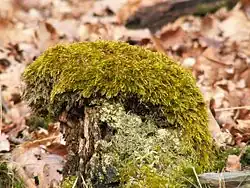 alternativní popis obrázku chybí