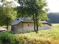 Moravska Cikanka 7 1.jpg