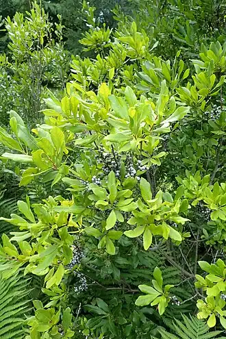 alternativní popis obrázku chybí