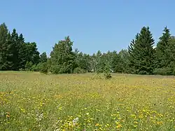 Přírodní památka Morgenland