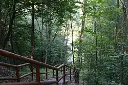 Zarostlé hlediště přírodního amfiteátru