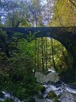 most a deštný les ve Fragas do Eume