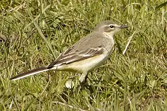 alternativní popis obrázku chybí