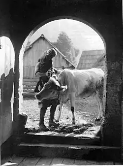 Motiv z Jezerska (1929)