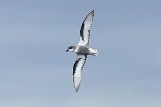 alternativní popis obrázku chybí