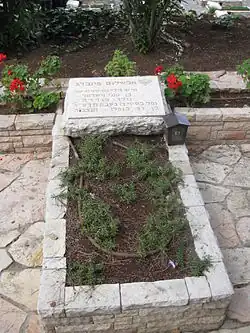 Hrob s náhrobním kamenem s hebrejským popisem, porostlý keříky