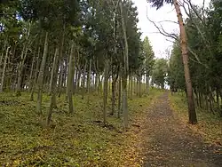 Cesta na vrchol Kinkei