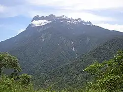 Hora Kinabalu, lesy