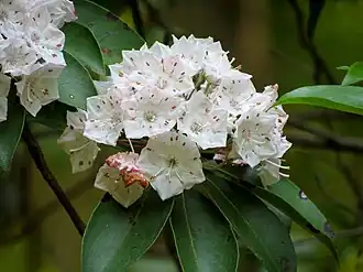 alternativní popis obrázku chybí