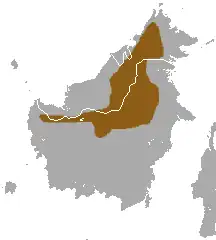 Rozšíření tany horské (hnědě)