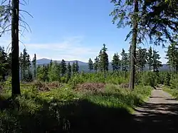 Rýchory přes Úpské údolí