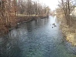 Mrežnica u města Duga Resa