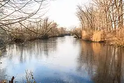 Mrtvé rameno Labe u Němčic