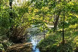 Slepé rameno Orlice u Stříbrného rybníka