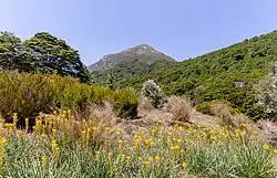 Údolí Cobb v národním parku Kahurangi