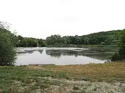 Mušlovský horní rybník