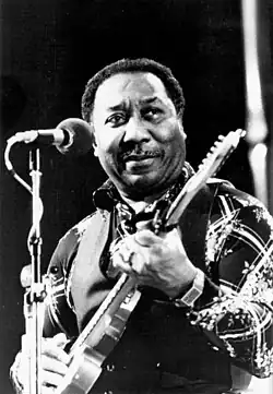 Muddy Waters (1976)