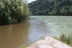 Soutok řeky Lavant (vlevo) s Drávou