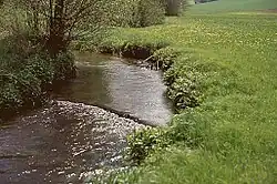 V severní části Českého lesa (Oberpfälzer Wald)