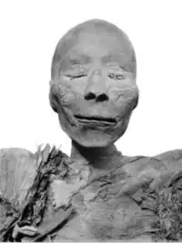 Hrudník, ramena a hlava šedé mumie. Hrudník je přikryt roztrhaným oděvem.