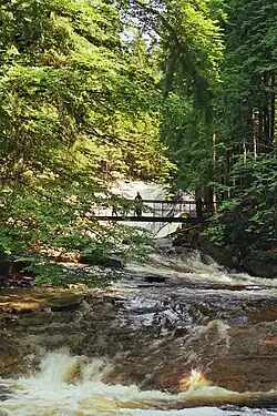 Údolí Mumlavy u vodopádu