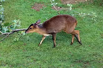 alternativní popis obrázku chybí