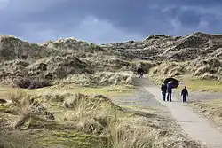 Cesta mezi písečnými dunami